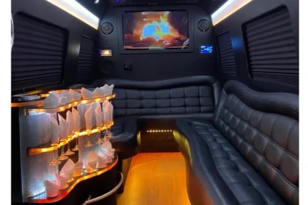 12 passengers limo van