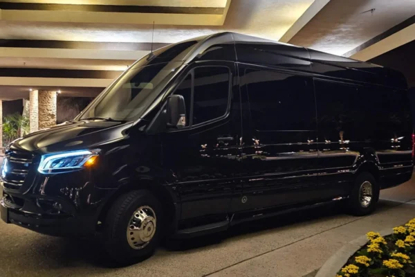 12 passengers limo van